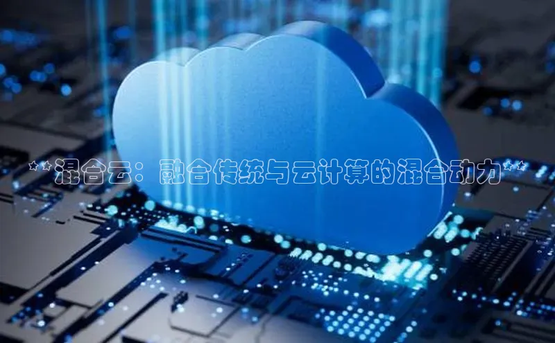 jinnianhui金年会携程**混合云：融合传统与云计算的混合动力**