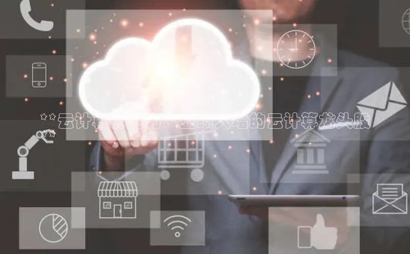 金年会金字招牌诚信至上龙年知乎**云计算的潜力：业绩大增的云计算龙头股
**