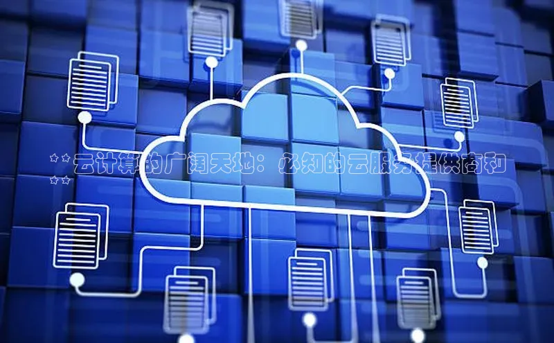金年会电子游戏app华扬联众**云计算的广阔天地：必知的云服务提供商和
**