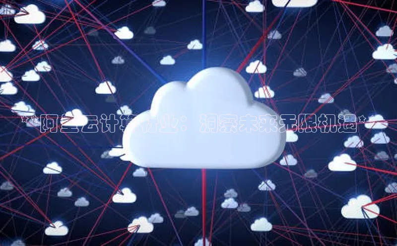 jinnian金年会官方网站入口阿里尔公司**阿里云计算行业：洞察未来无限机遇**