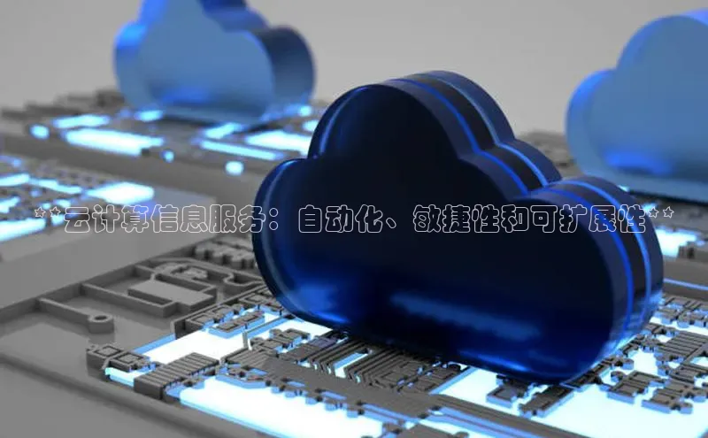 金年会电子游戏app官方百度人工翻译**云计算信息服务：自动化、敏捷性和可扩展性**