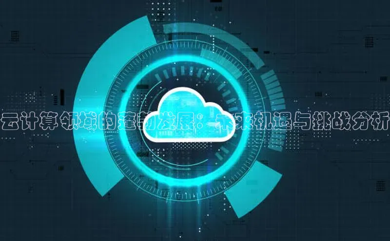 金年会官方网站入口汉得信息云计算领域的蓬勃发展：未来机遇与挑战分析