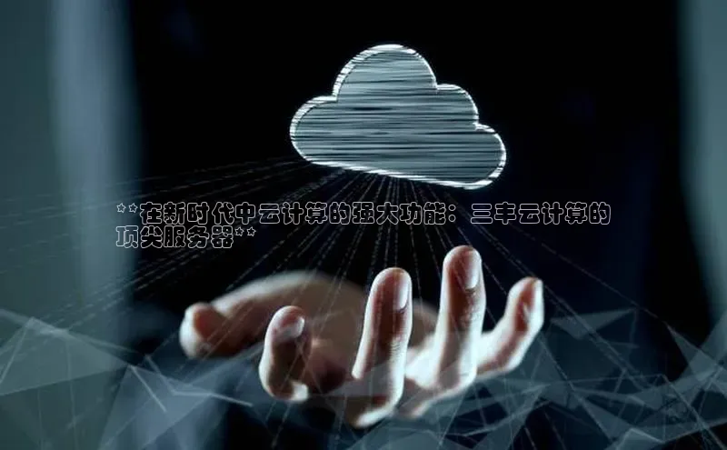 金年会电子游戏入口京东**在新时代中云计算的强大功能：三丰云计算的
顶尖服务器**