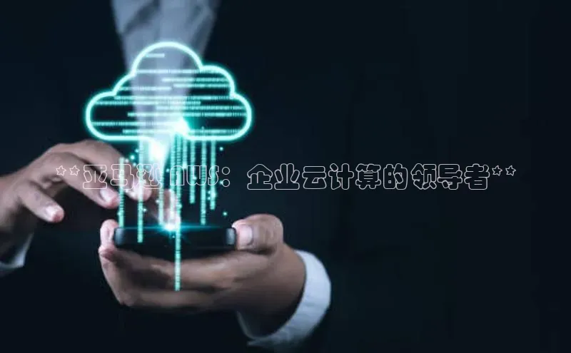 金年会 金字招牌诚信至上ARGA公司**亚马逊 AWS：企业云计算的领导者**