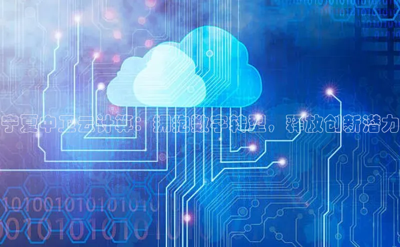 金年会 金字招牌诚信至上 | 首页(欢迎您)度小满支付宁夏中卫云计算：拥抱数字转型，释放创新潜力