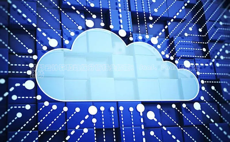 jinnian金年会官方网站入口百度游戏成都云计算和数据分析行业指南： SaaS、PaaS 和行业
趋势