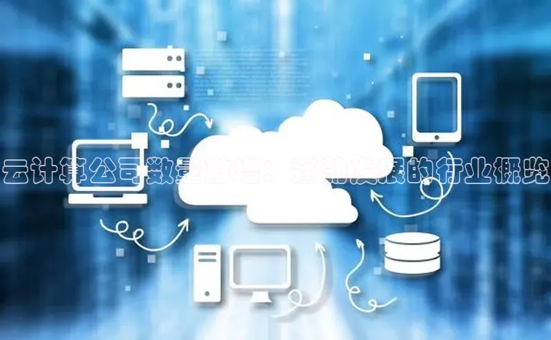 金年会金字招牌诚信至上欢迎您顺丰云计算公司数量激增：蓬勃发展的行业概览