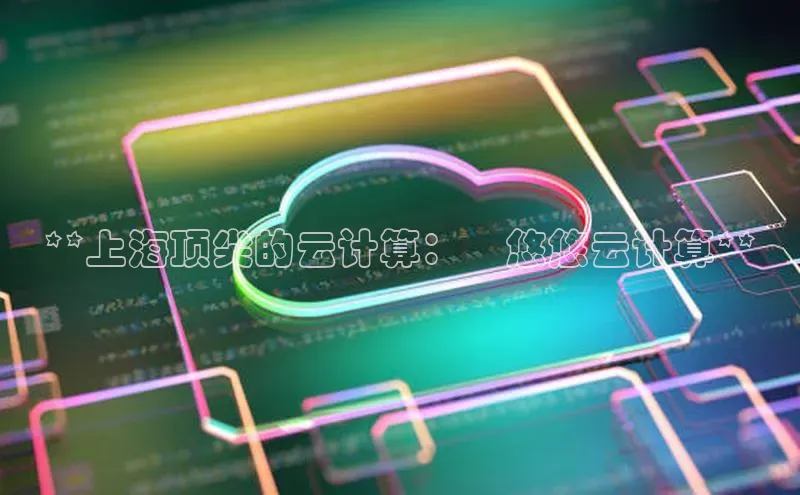 金字招牌诚信至上今年会普信公司**上海顶尖的云计算：玥悠悠云计算**