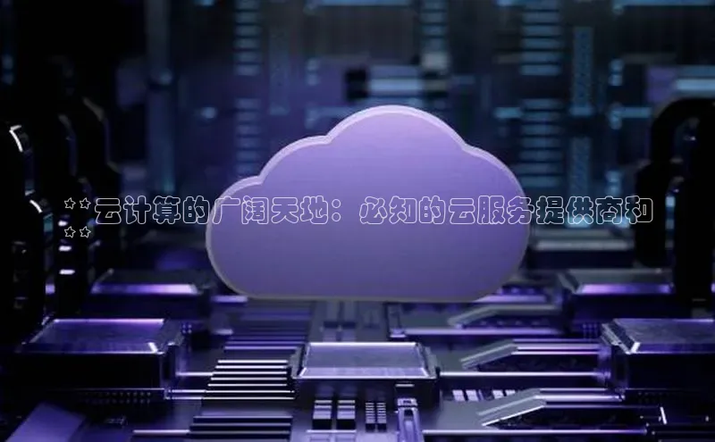 金年会金字招牌诚信至上龙年百度翻译App**云计算的广阔天地：必知的云服务提供商和
**