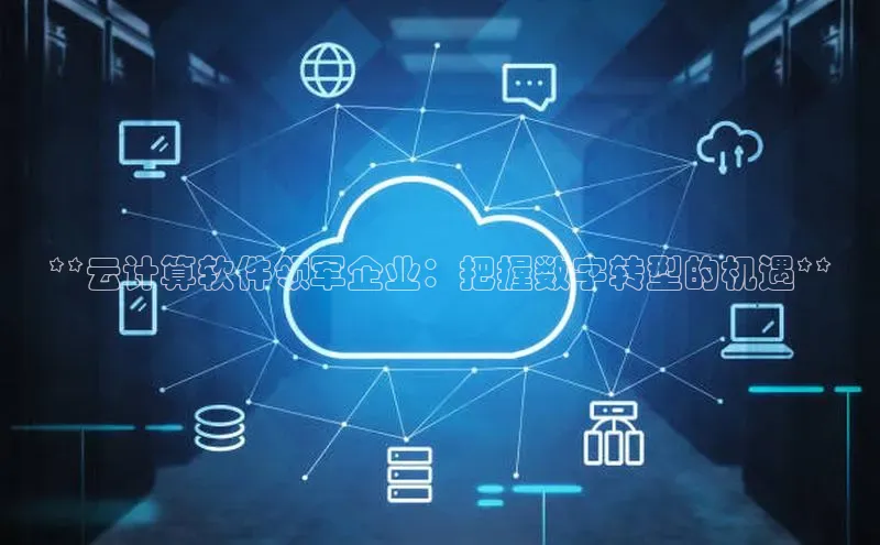 jinnian金年会登录入口挪威主权基金**云计算软件领军企业：把握数字转型的机遇**