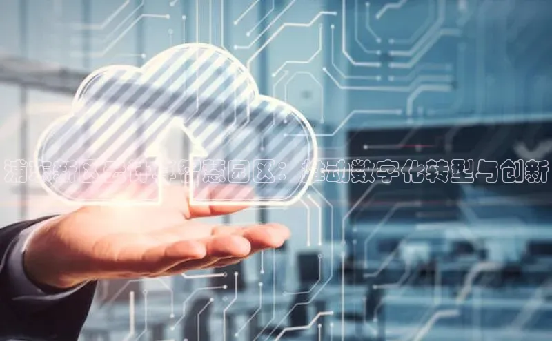 金年会电子游戏app诸葛科技浦东新区云计算智慧园区：推动数字化转型与创新