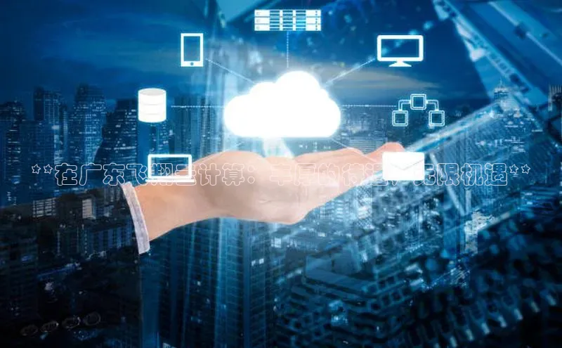 金年会诚信信誉至上雷柏科技**在广东飞翔云计算：丰厚的待遇，无限机遇**