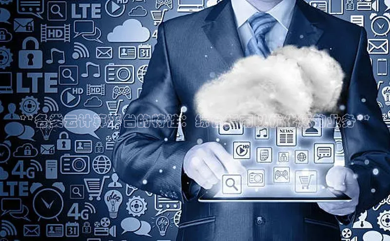 jinnian金年会官方网站入口阿里尔公司**各类云计算平台的特性：综合指南以优化您的业务**