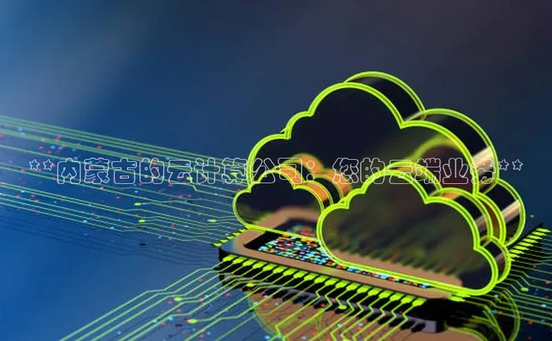 jinnian金年会官方网站入口百度游戏**内蒙古的云计算公司：您的云端业务**