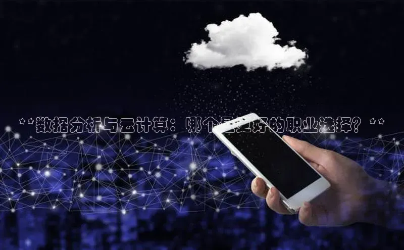 金年会电子游戏app华扬联众**数据分析与云计算：哪个是更好的职业选择？**