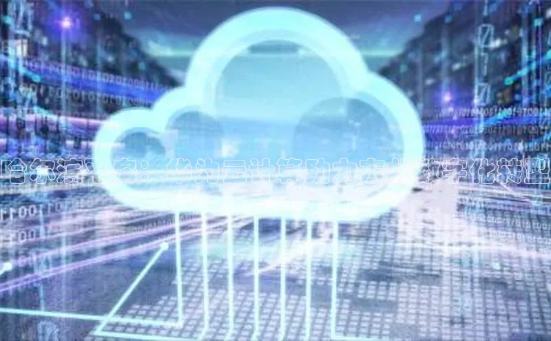 金年会网站入口百度安全社区哈尔滨平房：华为云计算助力东北数字化转型