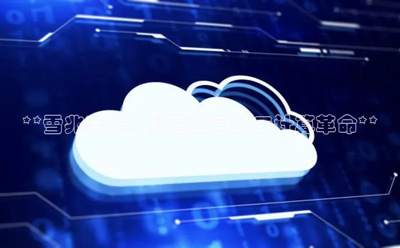 jinnian金年会极氪智能科技**雪兆丰年：暴雪公司的云计算革命**