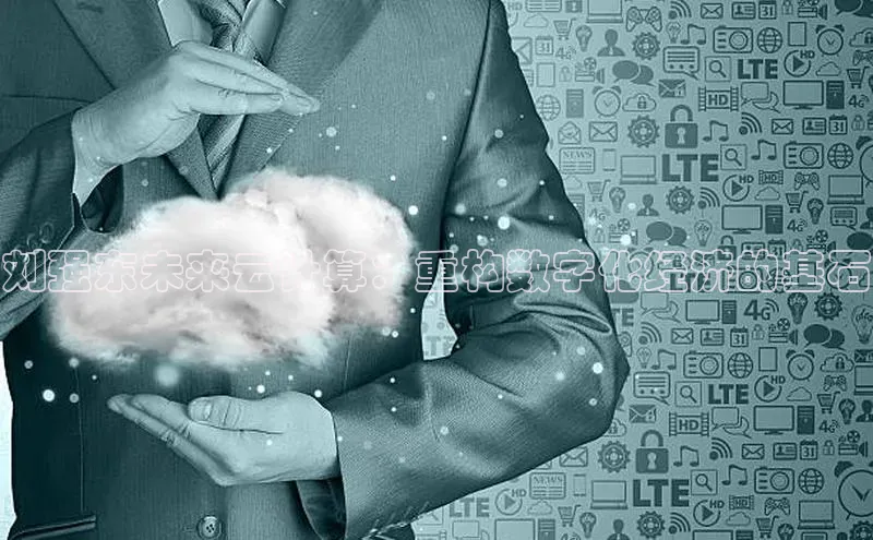 金年会电子游戏app华扬联众刘强东未来云计算：重构数字化经济的基石