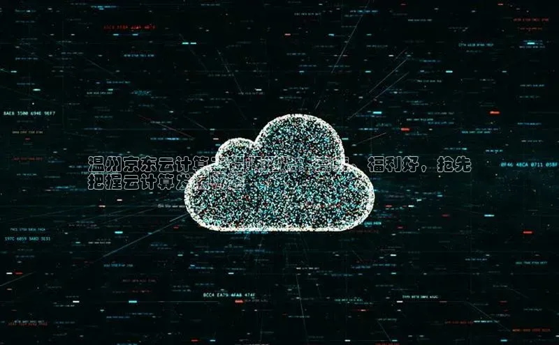 jinnian金年会小度商城温州京东云计算工程师招聘：高薪、福利好，抢先
把握云计算发展机遇