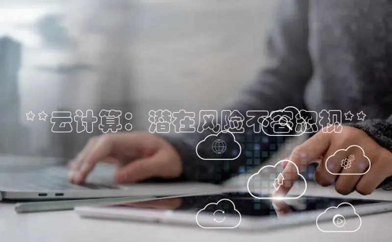 金年会电子游戏app官方百度人工翻译**云计算：潜在风险不容忽视**