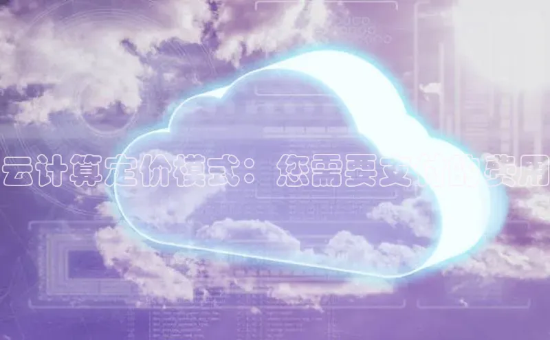 金年会金字招牌诚信至上龙年百度翻译App云计算定价模式：您需要支付的费用