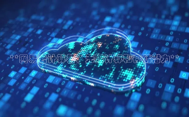 金年会电子游戏入口百度智能门户**网易云计算器：无限计算和存储潜力**